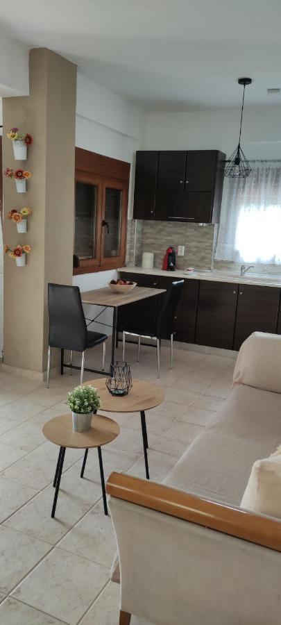 Maria'S Luxury Apartment Kaszándra Kültér fotó